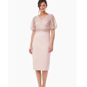 Nwot JS Collection EMERSYN KNEE LENGTH DRESS sz 2 #UU